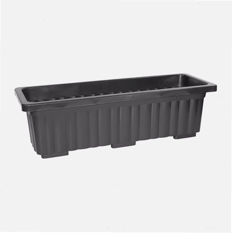 Nhiều chậu nhựa dài trồng cây được xếp dọc lối đi sân vườn