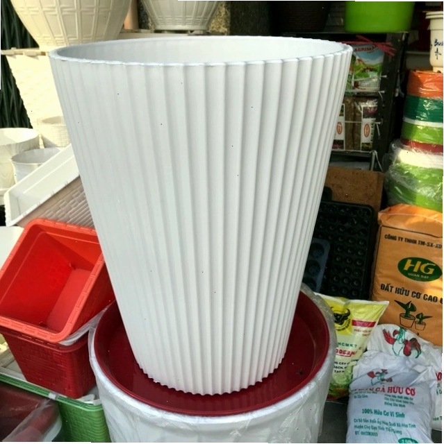 Nhiều chậu nhựa trắng xếp chồng lên nhau trong vườn ươm