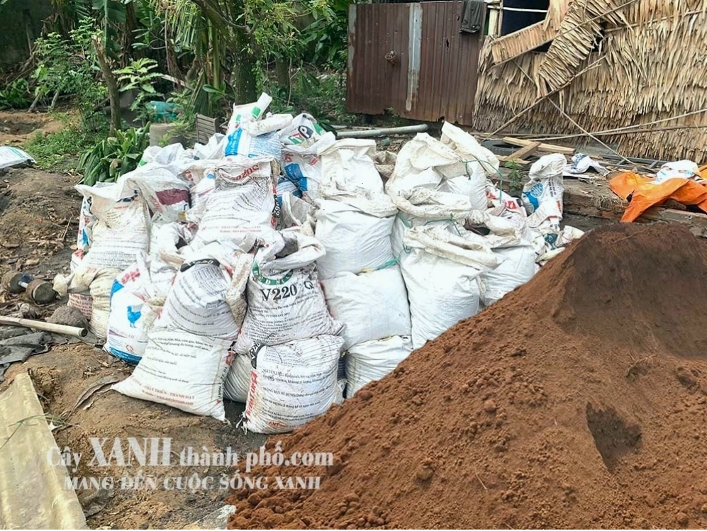 Nhiều loại cây cảnh phát triển mạnh mẽ trên đất đỏ bazan
