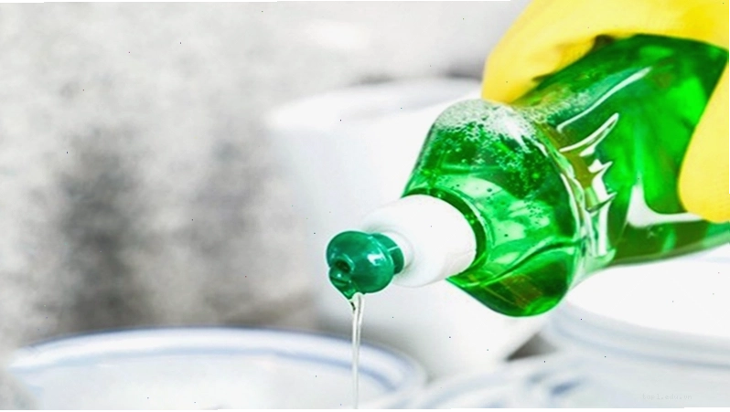 Phòng ngừa rệp sáp bằng nước rửa chén
