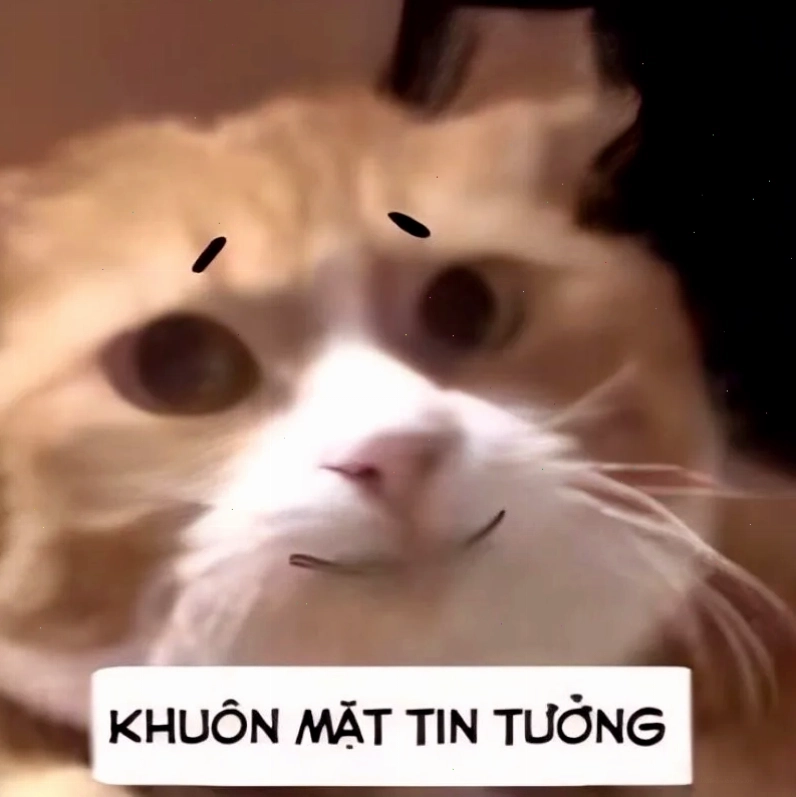 Quá trình tạo meme đéo tin