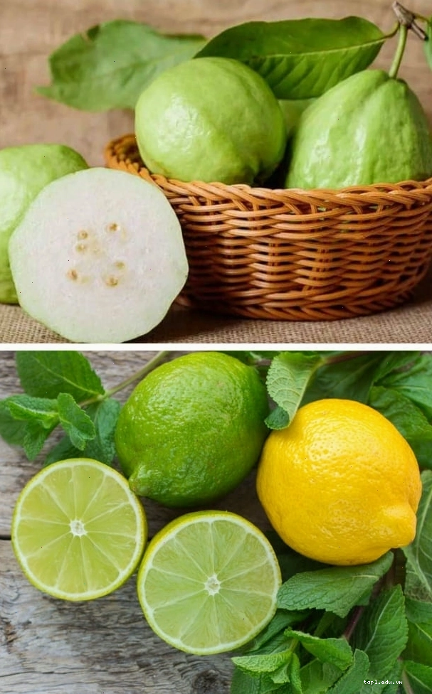So sánh hàm lượng vitamin C của ổi và chanh