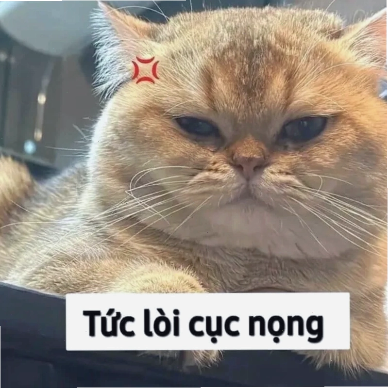 Sưu tầm những bức meme cay mới nhất