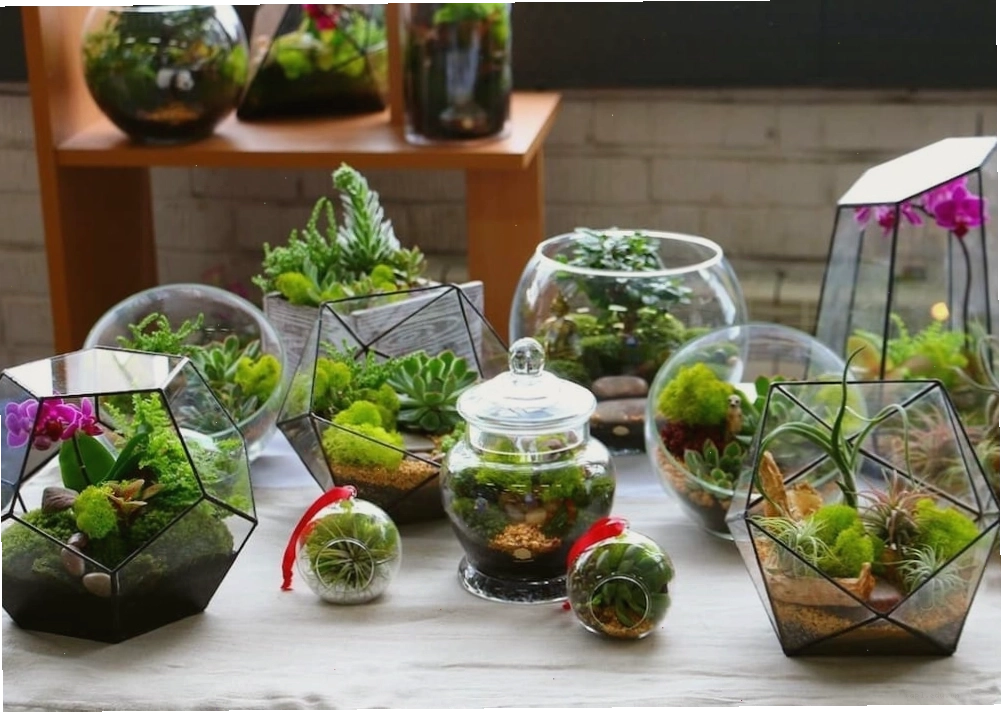 Tái chế ly thủy tinh để trang trí chậu cảnh độc đáo