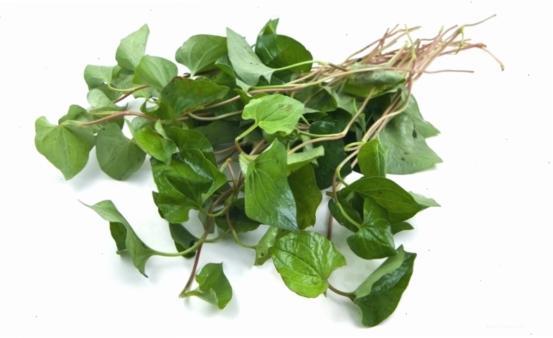 Thay đổi khí hư là dấu hiệu viêm phụ khoa nhẹ phổ biến ở phụ nữ