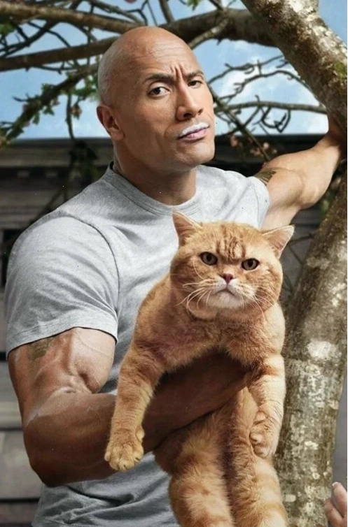 The Rock meme trong một tình huống hài hước