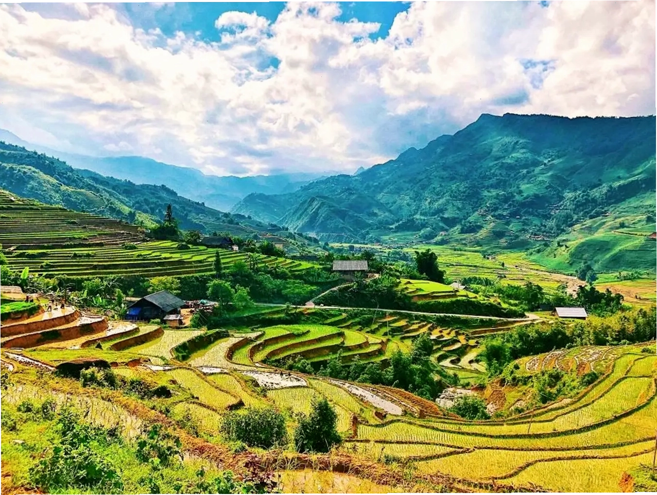 Thung lũng Mường Hoa Sa Pa