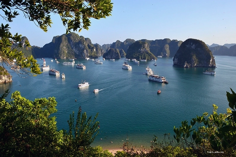 Toàn cảnh Vịnh Hạ Long hùng vĩ nhìn từ trên cao với hàng nghìn đảo đá vôi