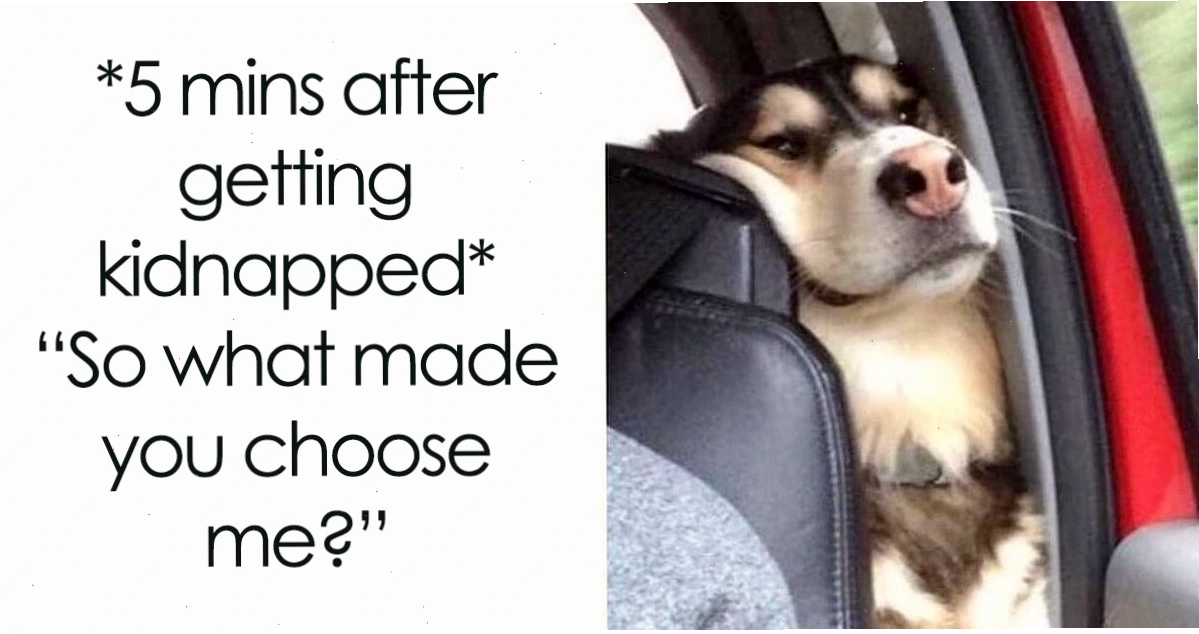 Tuyển tập meme hài hước và ngẫu nhiên
