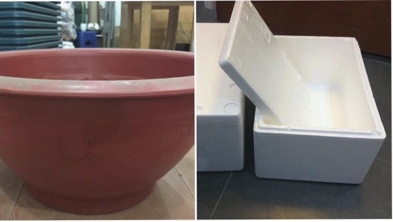 Vật dụng cần thiết để trồng cây đu đủ trong chậu