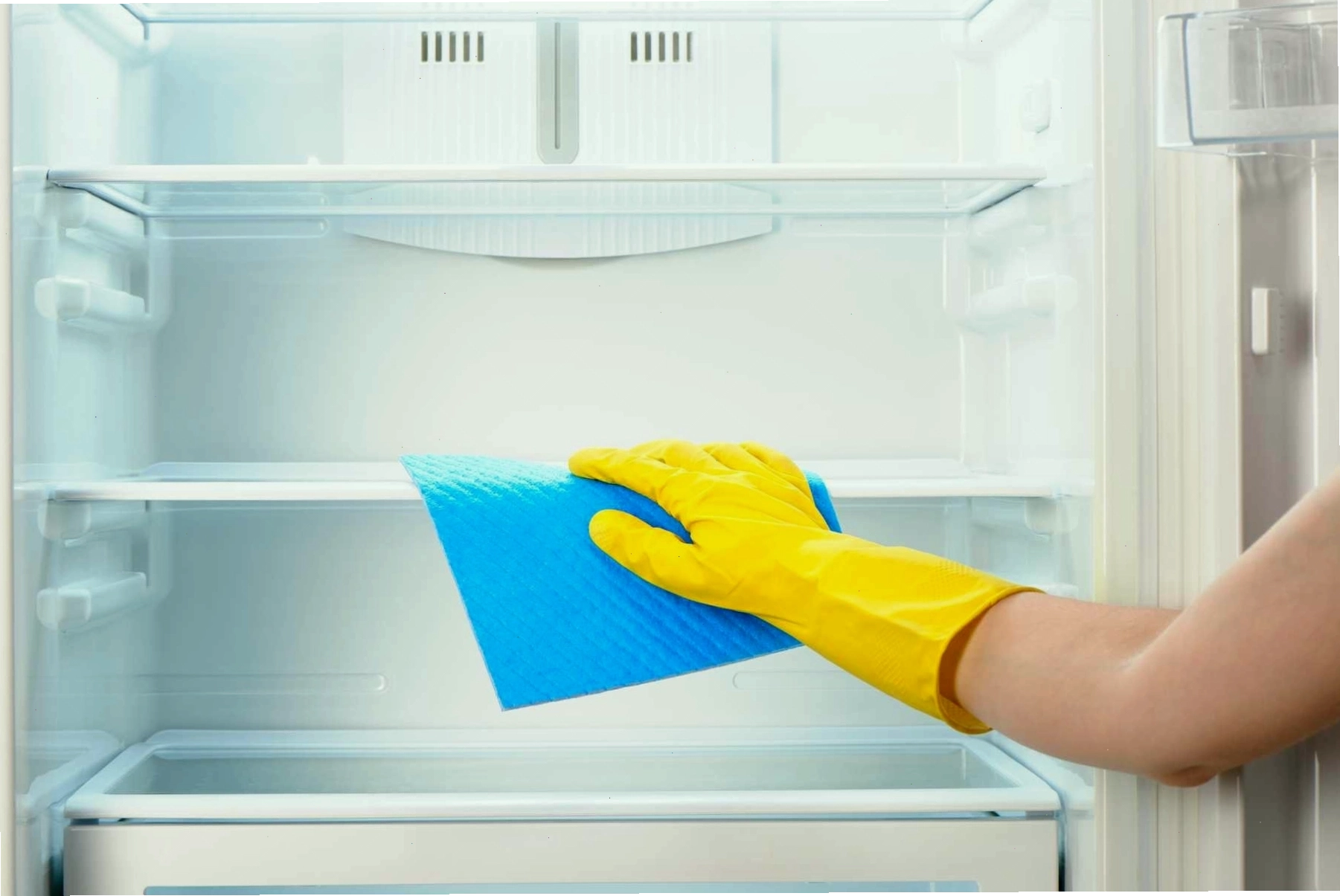 Vệ sinh gioăng tủ lạnh thường xuyên giúp ngăn ngừa hư hỏng