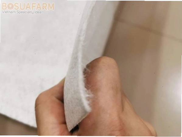 Vườn cây xanh tươi trên ban công sử dụng vải địa kỹ thuật