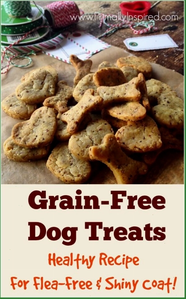 Healthy Dog Treats Recipe for shiny coat from Primally Inspired