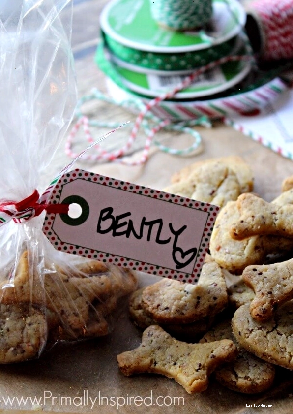 Healthy Grain Free Dog Treats from Primally Inspired
