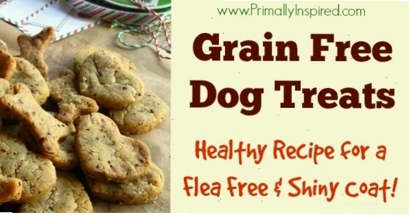 Homemade Gluten Free Dog Treats Recipe for flea free coat