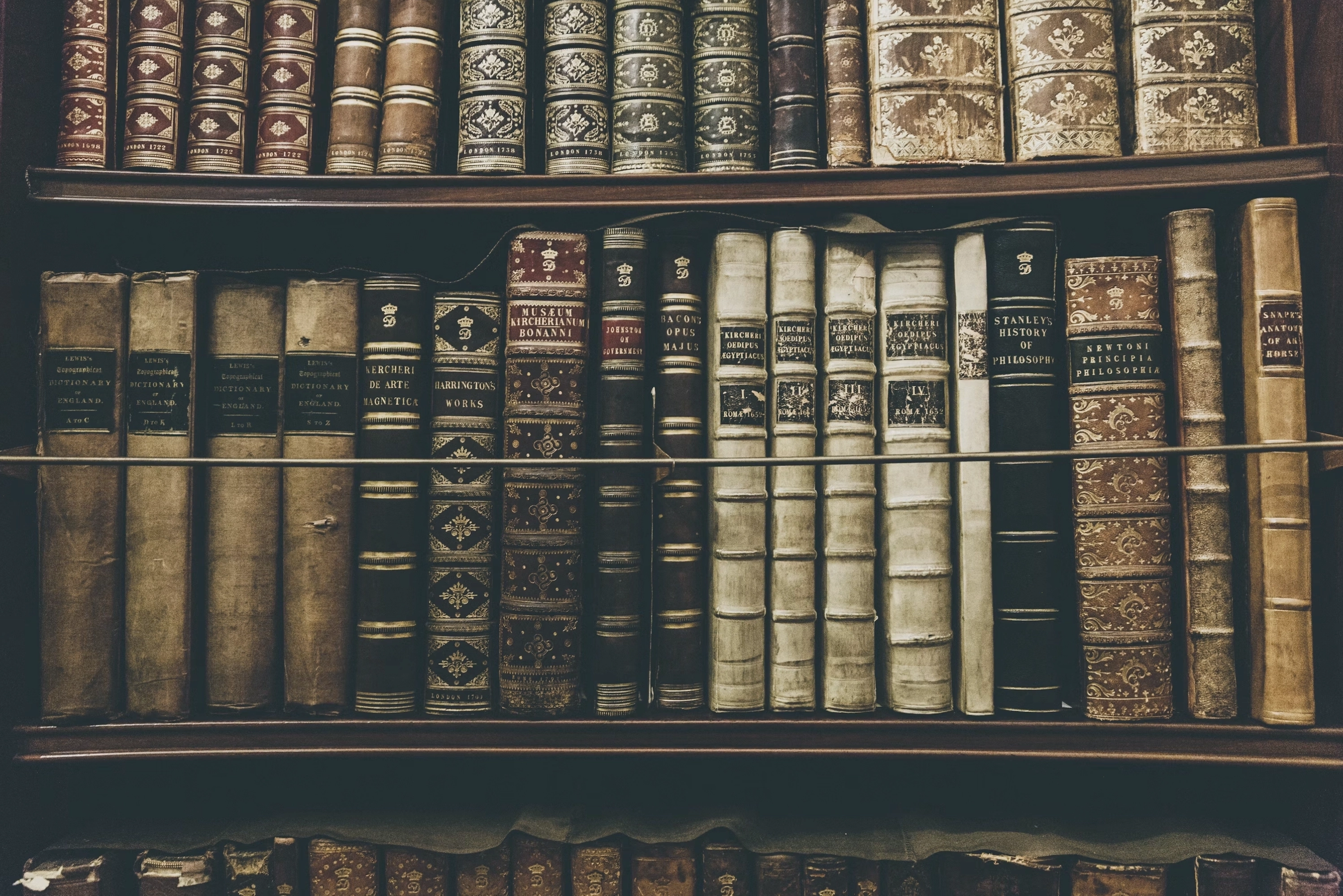 Organized books filed on a tall bookshelf