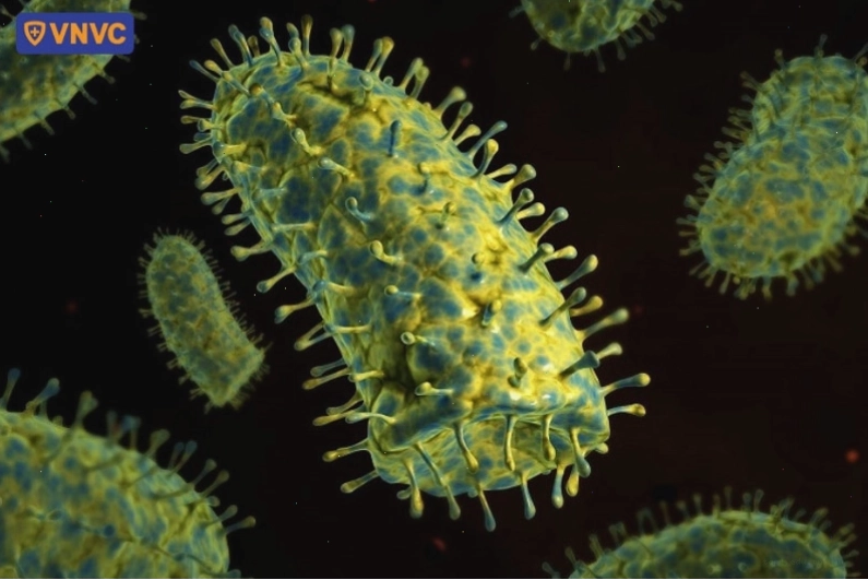 Cấu trúc hình thái của virus dại dưới kính hiển vi