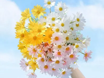 Những ảnh đại diện đẹp và dễ thương để làm mới trang cá nhân
