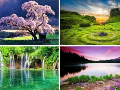 Top avatar thiên nhiên tạo nên xu hướng hình ảnh mới