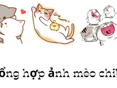 Khám phá hình ảnh mèo chibi cực cute, bạn không thể bỏ qua
