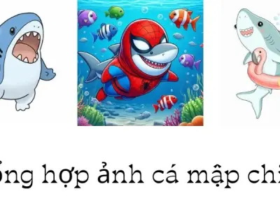 Bộ sưu tập cá mập chibi cực chất ai cũng muốn sở hữu