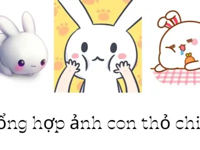 Bộ 55+ ảnh con thỏ chibi cực cute ai khiến cũng mê mẩn