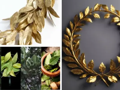 Ý nghĩa sâu sắc của hình nền lá nguyệt quế trong đời sống
