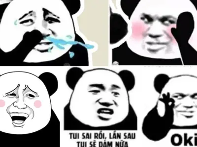 Cười thả ga với meme gấu trúc đáng yêu và cực kỳ thú vị