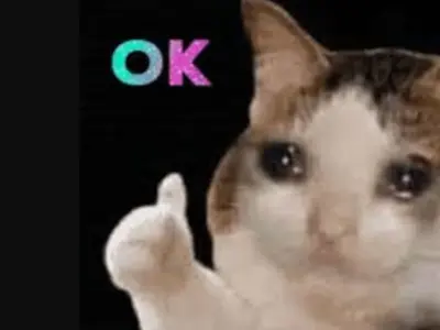 Cười xỉu với loạt ảnh ok meme đỉnh cao lan truyền mạnh