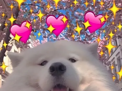 Tổng hợp meme tình yêu hài hước khiến ai cũng bật cười