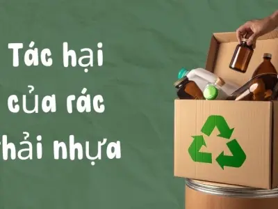 Tác hại của rác thải nhựa khiến hệ sinh thái suy sụp