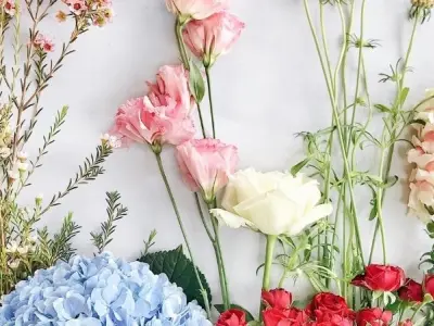 Những loài hoa đẹp nhất thế giới làm say lòng người