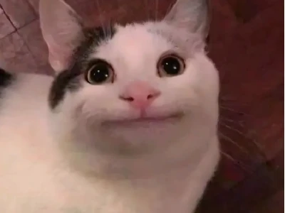 Avatar Ảnh Đại Diện Meme Hài Hước, Bựa và Độc Lạ Cho Năm 2026