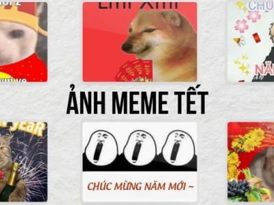 Avatar Meme Tết 2026: Tuyển Tập Ảnh Chế Hài Hước Đón Xuân