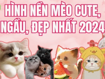 Avatar Mèo Cute Anime: Tuyển Tập Hình Nền Độc Đáo Năm 2026