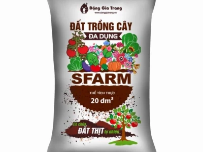 Bao Đất Trồng Cây: Hướng Dẫn Chọn Lựa Giá Rẻ, Chất Lượng Cao