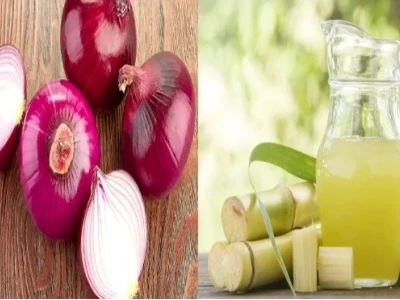 Bí quyết tưới thuốc kích rễ cho cây mới trồng hiệu quả nhất