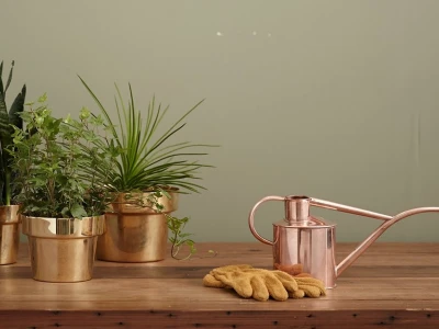 Cách Trồng Cây Đơn Giản: Hướng Dẫn Từ A-Z Cho Người Mới Bắt Đầu