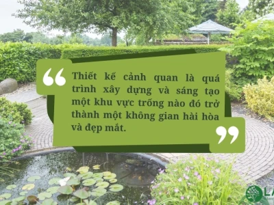 Cây trồng hàng rào trước nhà: Lựa chọn hoàn hảo cho không gian xanh