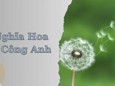 Hoa Bồ Công Anh: Ý Nghĩa Sâu Sắc và Truyền Thuyết Đằng Sau