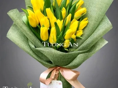 Hoa Tulip Đỏ: Ý Nghĩa Sâu Sắc Trong Tình Yêu và Cuộc Sống