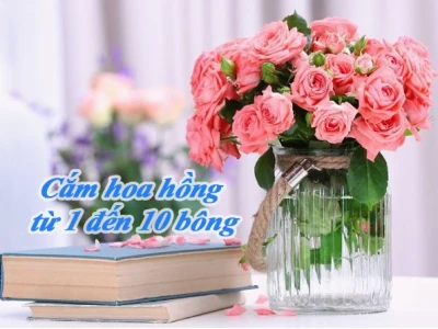 Hướng dẫn cách cắm hoa hồng 10 bông đẹp và tinh tế tại nhà