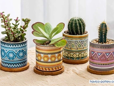 Khám phá 20+ Cách Trang Trí Chậu Cảnh Độc Đáo, Biến Không Gian Sống Thêm Sức Sống