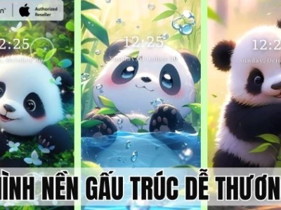 Khám phá bộ sưu tập ảnh nền avatar gấu cute độc đáo cho năm 2026