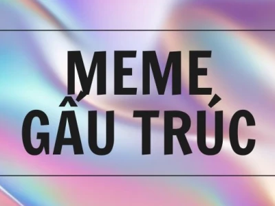 Khám phá Meme Gấu Trúc Trung Quốc: Từ Hài Hước Đến Dễ Thương