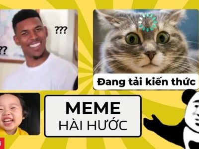 Khám phá thế giới ảnh meme vô tri hài hước 2026