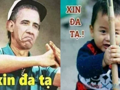 Khám Phá Thế Giới Meme Đa Tạ: Biểu Cảm Cảm Ơn Hài Hước Đỉnh Cao