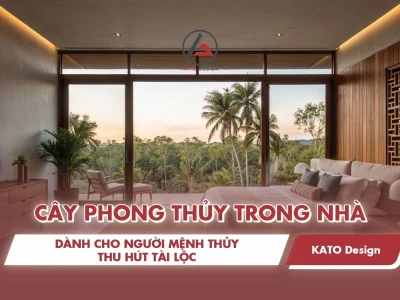 Mệnh Thủy Nên Trồng Cây Gì Trong Nhà Để Thu Hút Vận May 2026