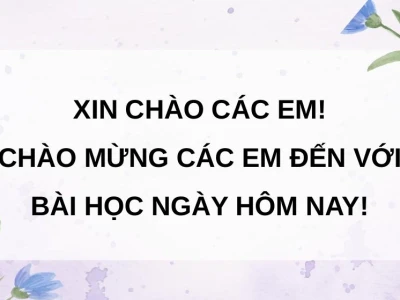 Nghệ thuật trang trí đồ gia dụng: Biến không gian sống thêm sinh động