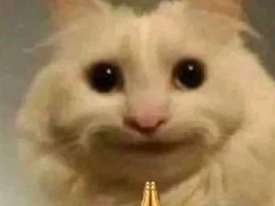 Tổng hợp 1001+ ảnh meme con mèo hài hước, biểu cảm 'đi vào lòng đất'